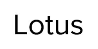 Ремонт стиральных машин Lotus